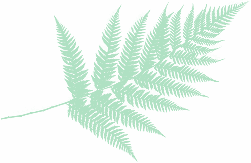 holistic-healer-43